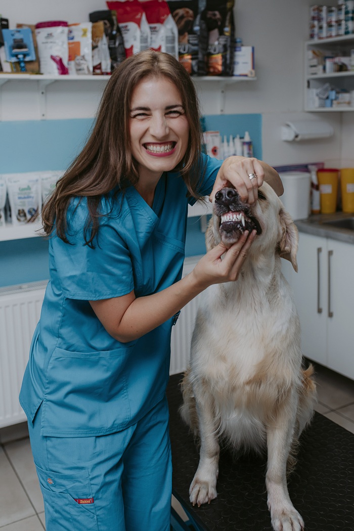 MVDr. Barbara Popovičová VETERAS dentálna hygiena psov
